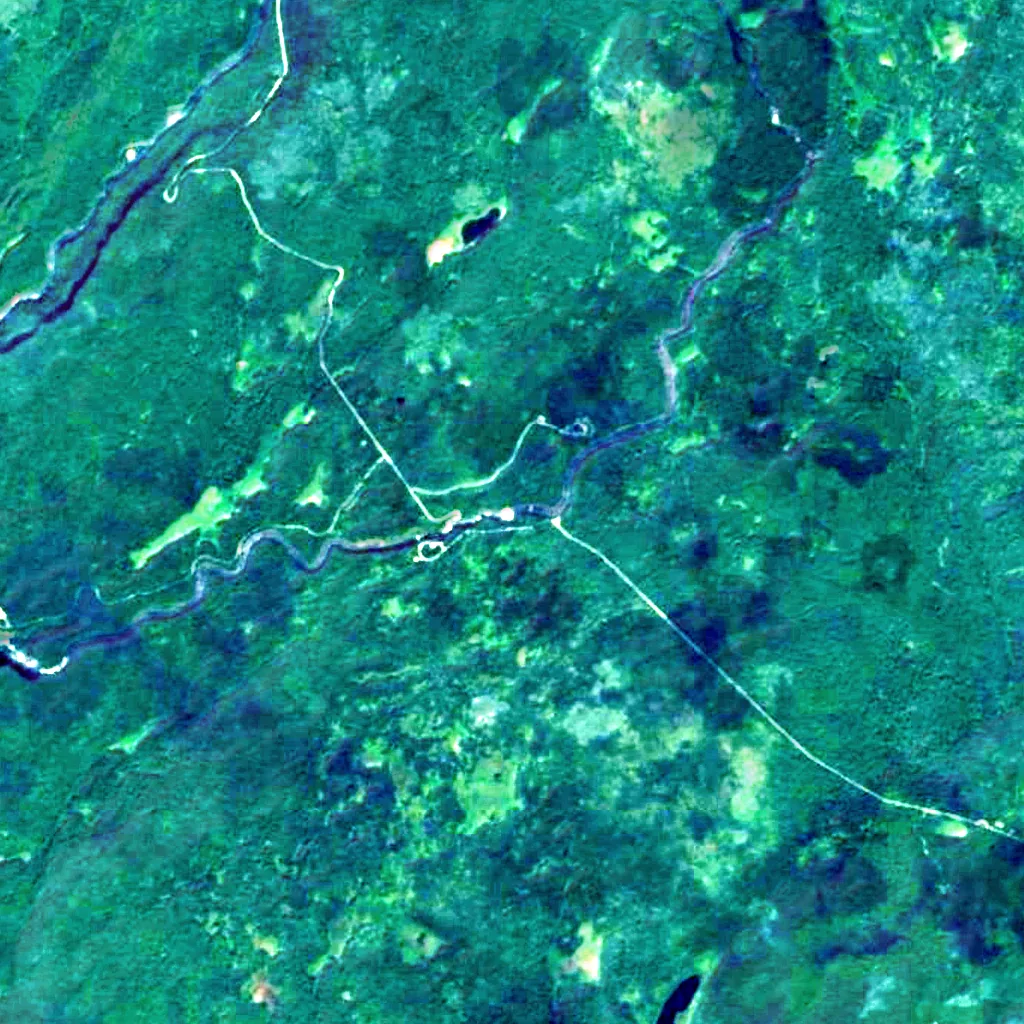 Dawson Falls seen from above (Sentinel-2)