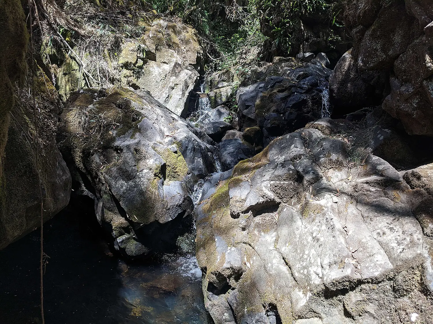 Delaneys Falls Secondary