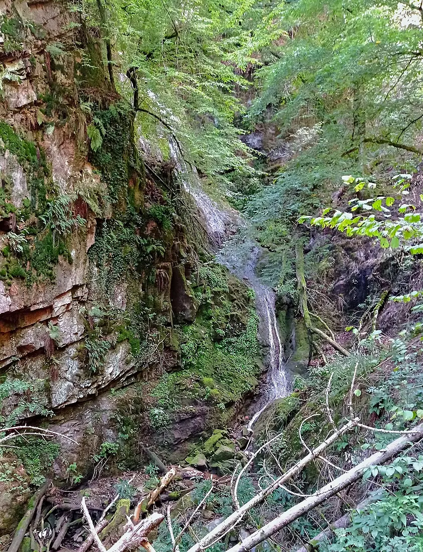 Dietlinger Wasserfaelle unterer Fall 2022-09-09