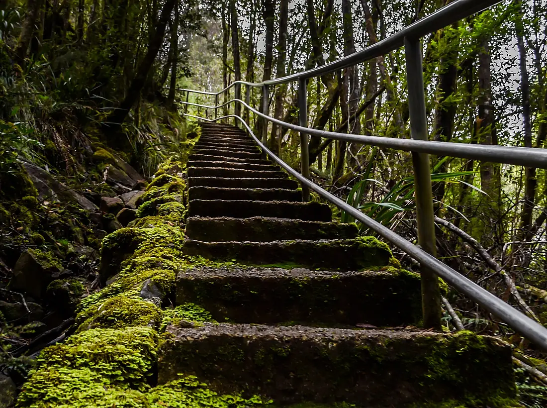 Dip Falls Forest Reserve, Tasmania