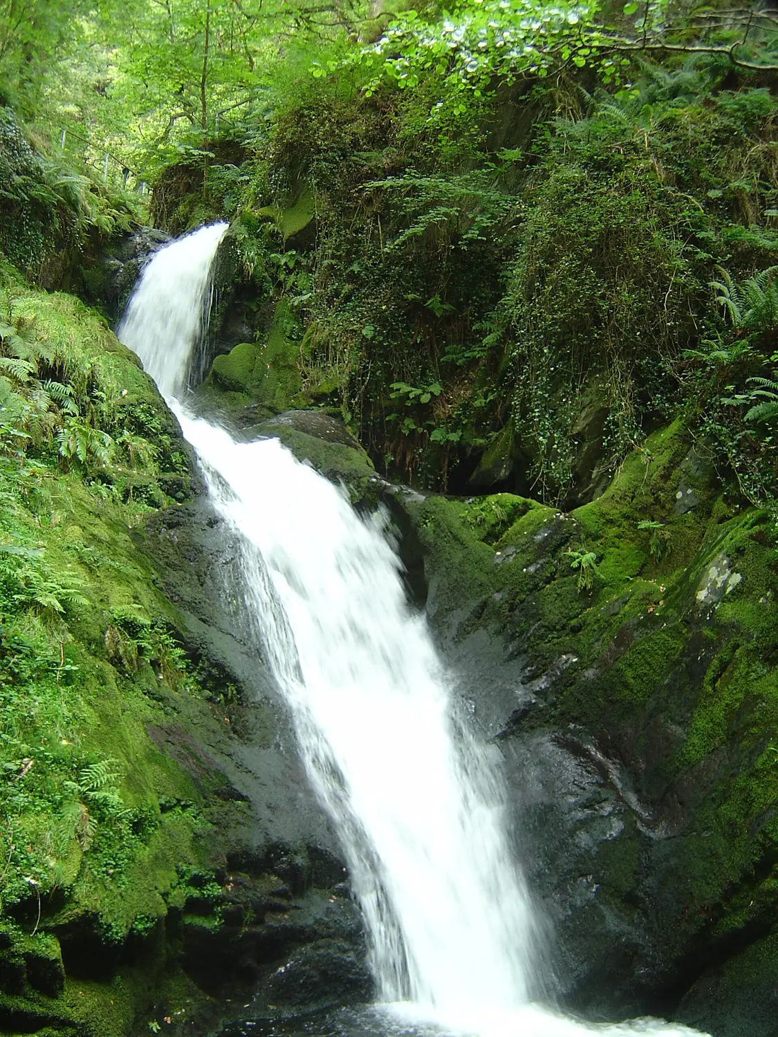 Dolgoch Falls - 2007-09-01