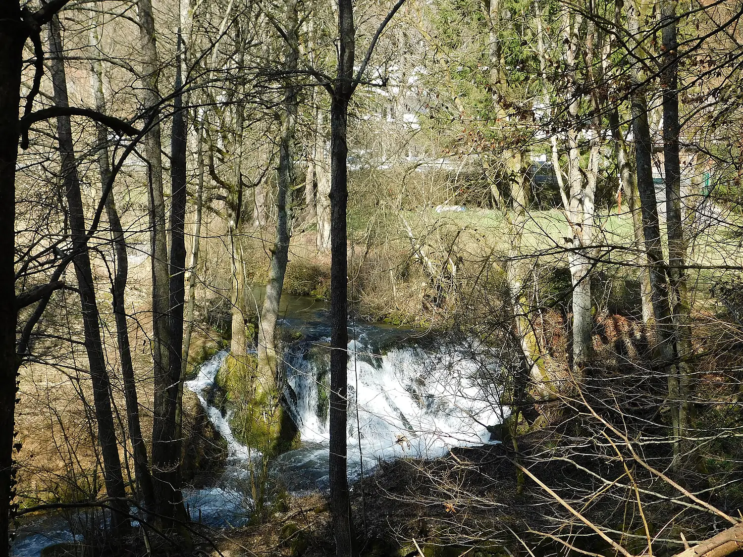 Dooser Wasserfall Wiesent-Südostufer