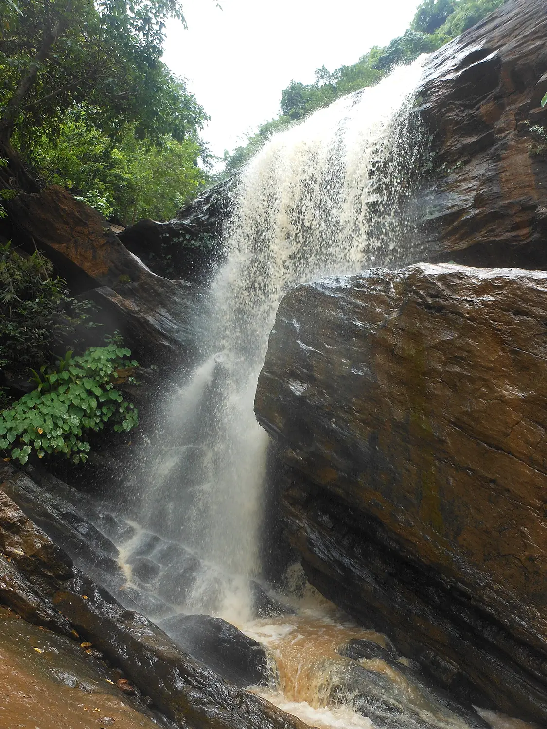 Raniduduma Koraput