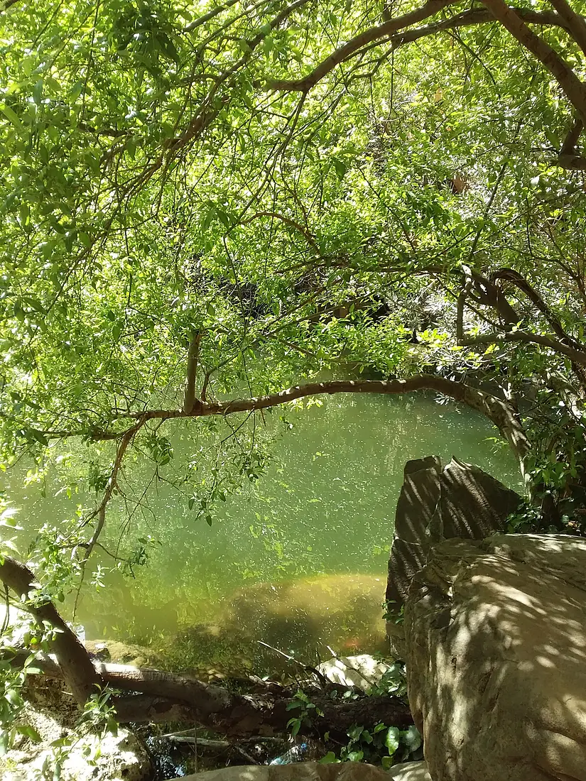 Cascade tlmcen