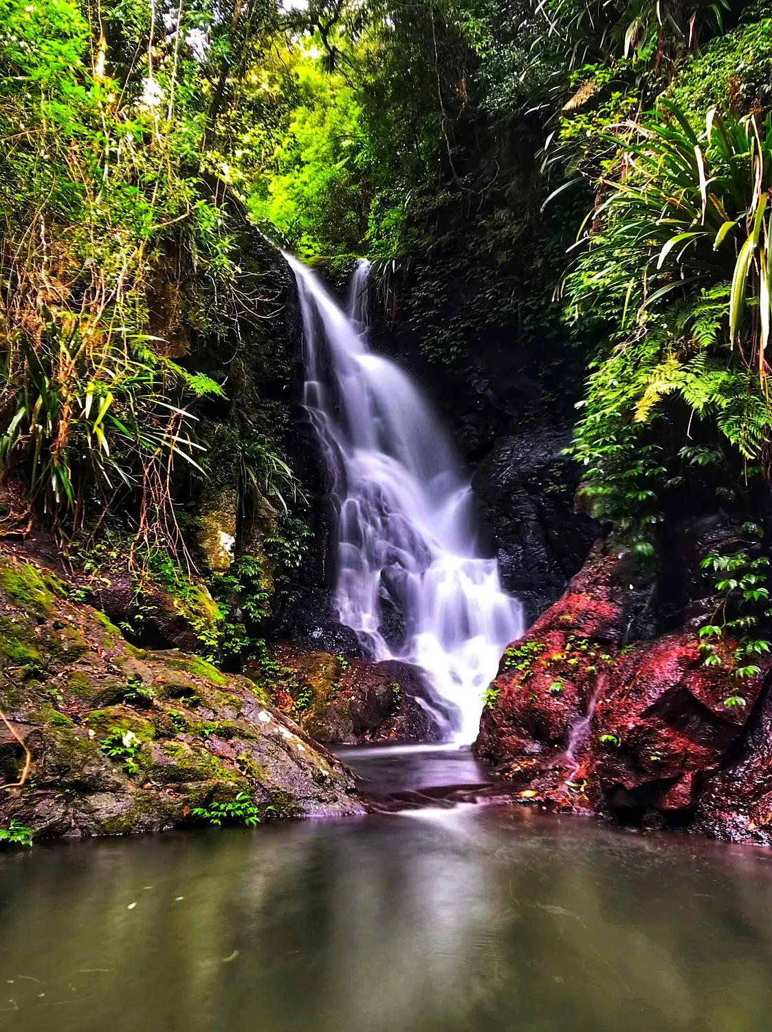Elabana Falls, Lamington National Park