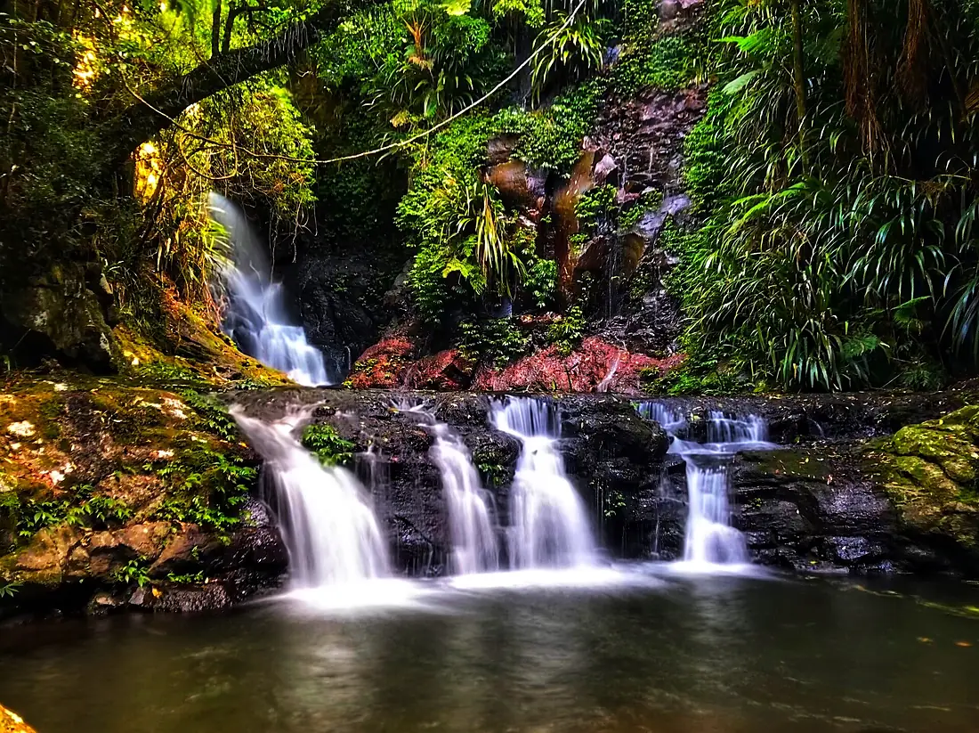 Elabana Falls in Lamington National Park