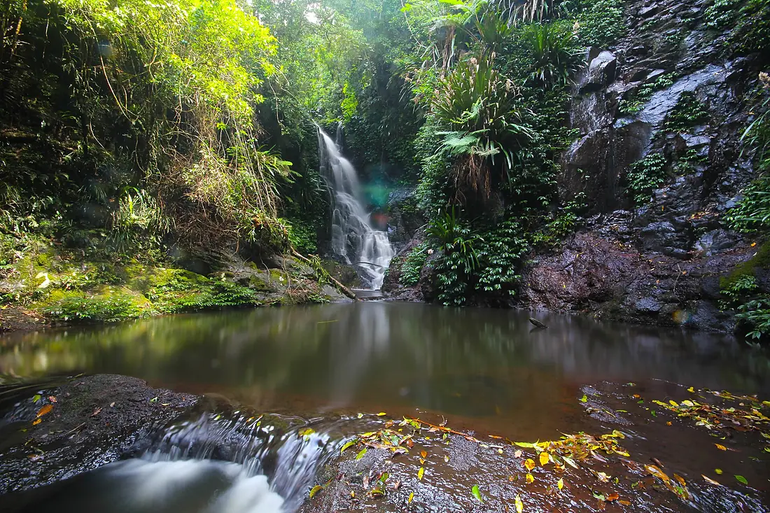 Elebana falls, Lamington National Park