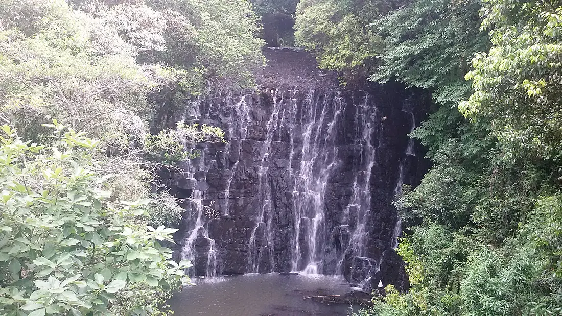 Elephant fall no.1