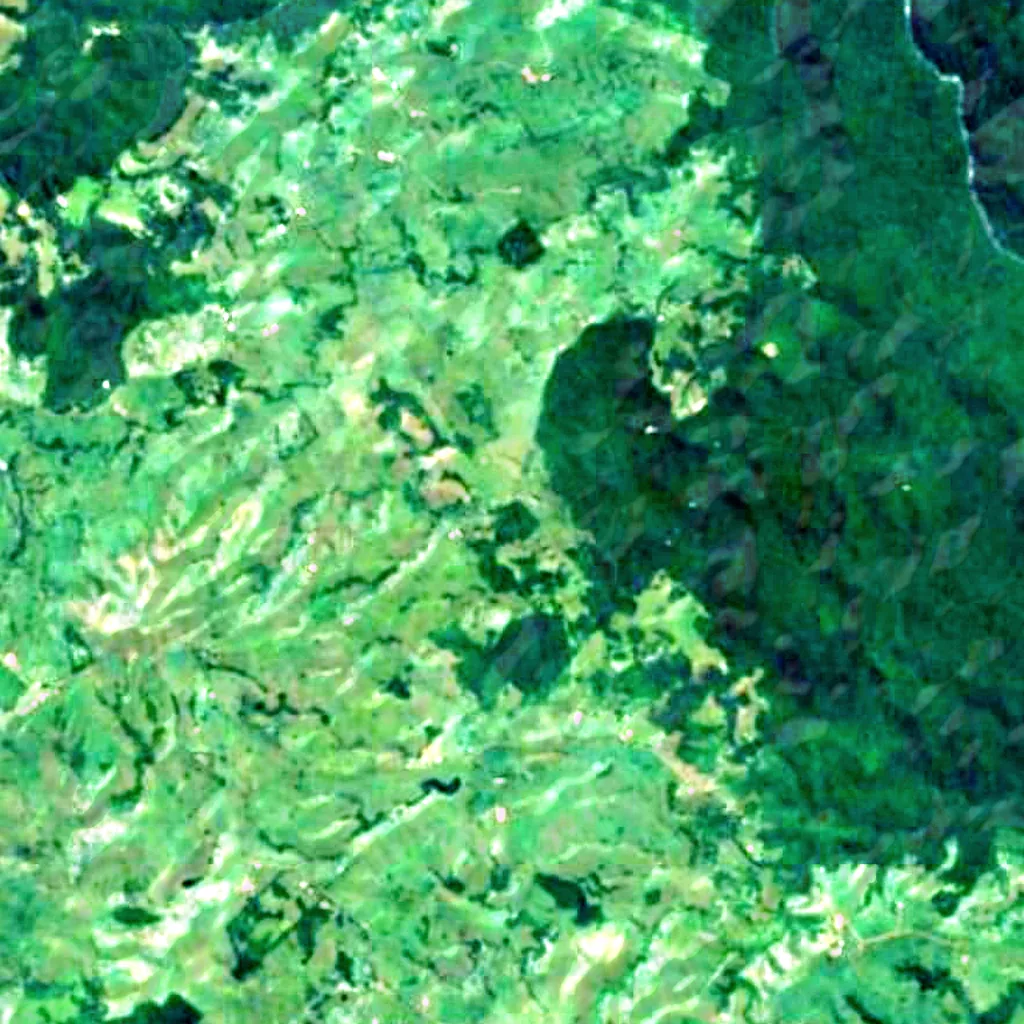 Ellinjaa Falls seen from above (Sentinel-2)