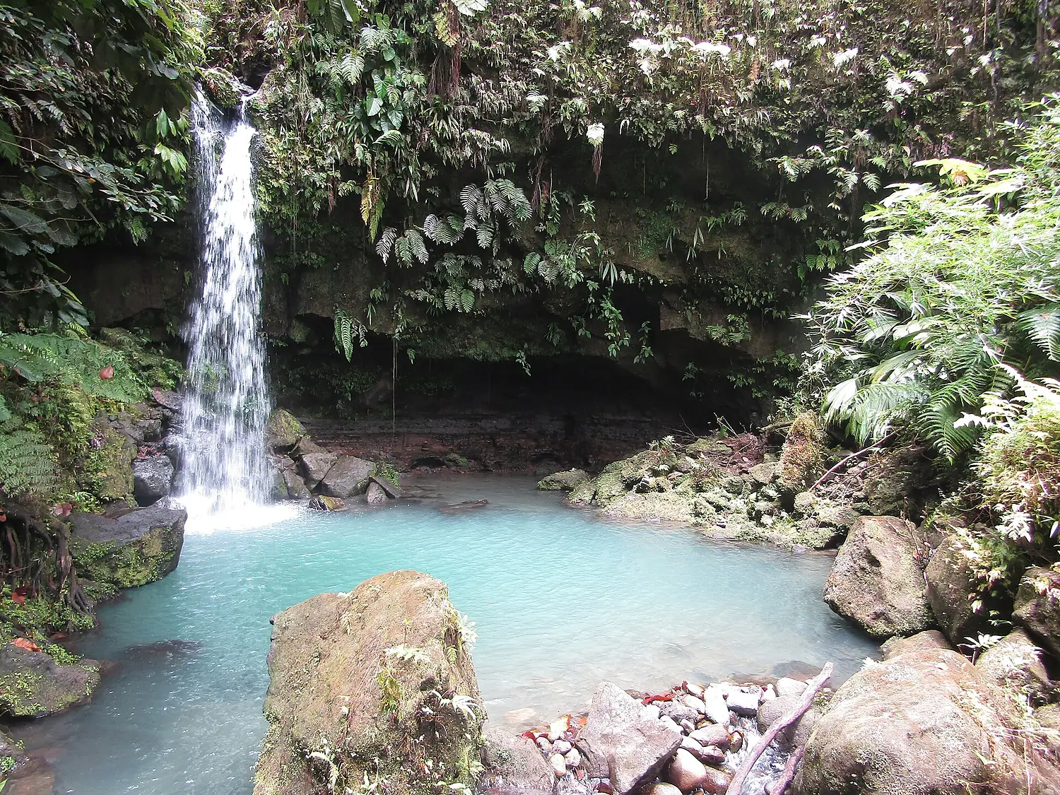 Emerald Pool, Dominica