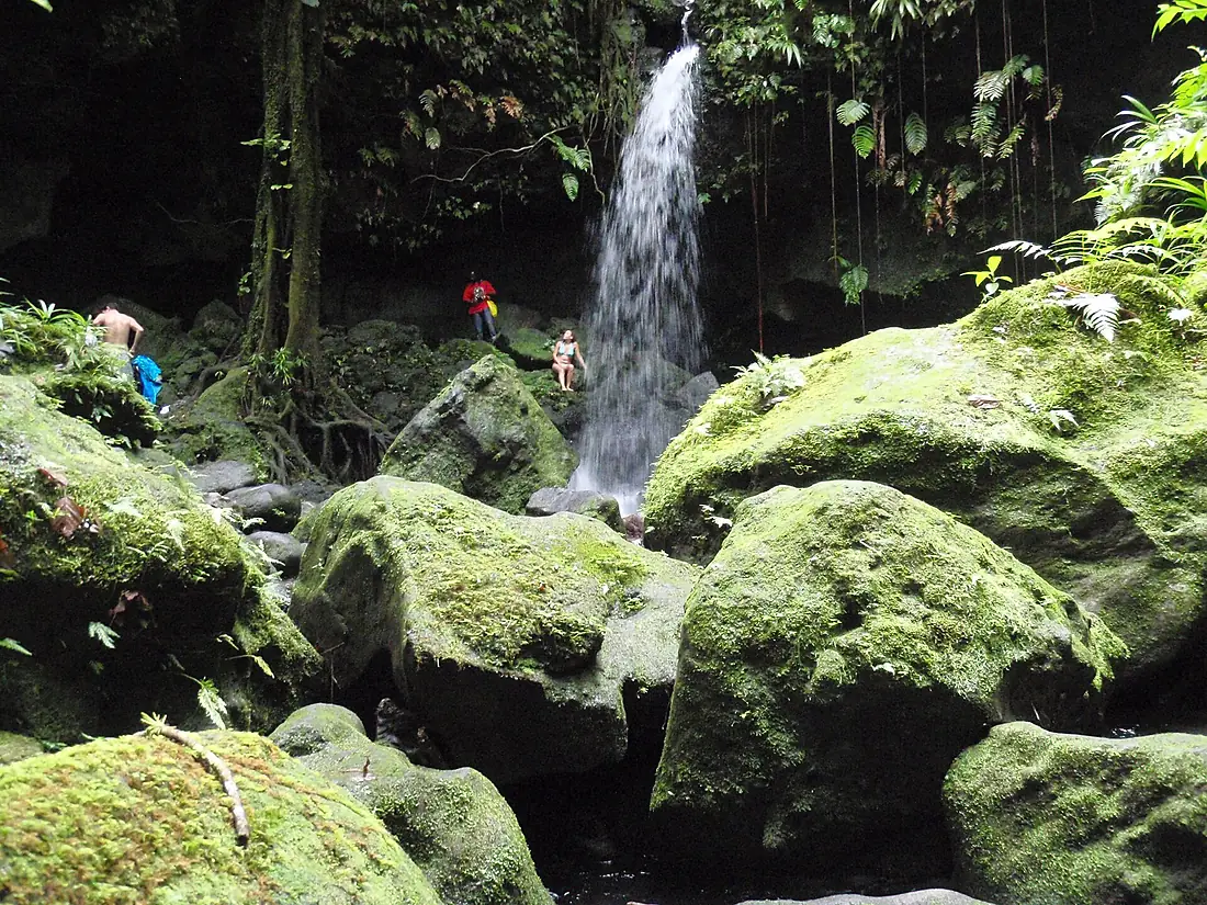 Emerald Pool, Dominica,2