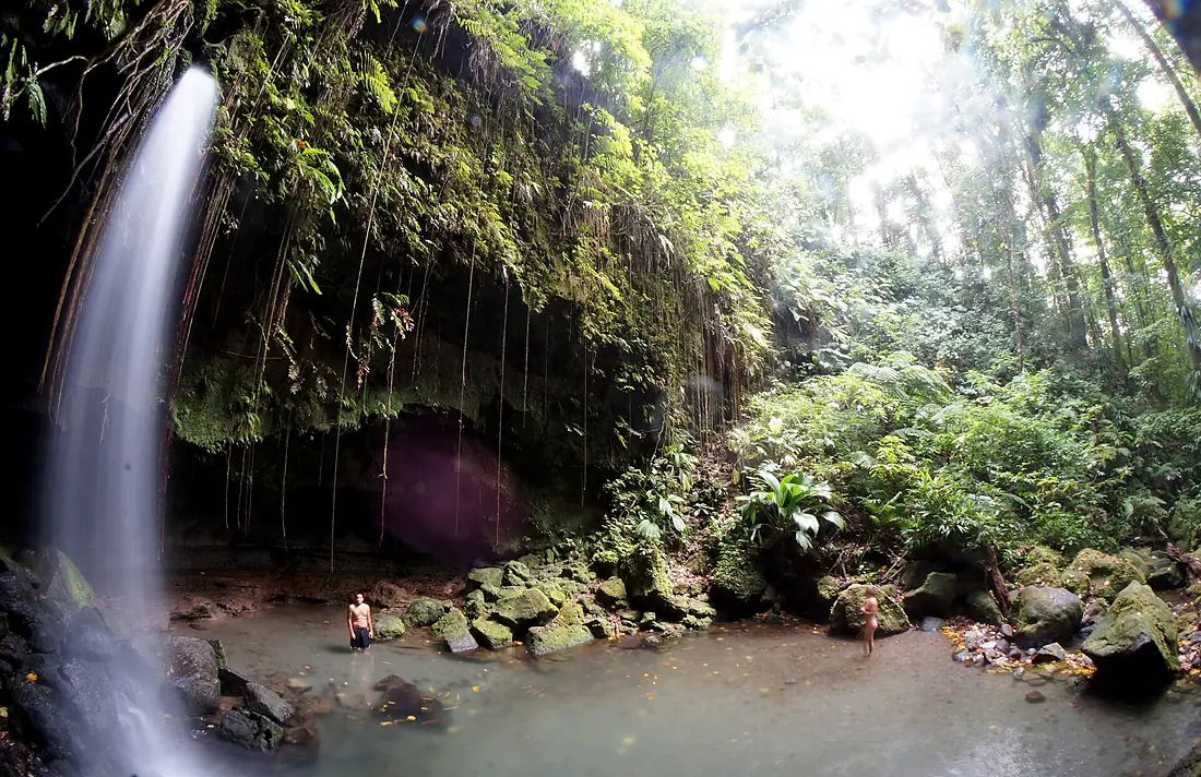 Emerald Pool Dominica