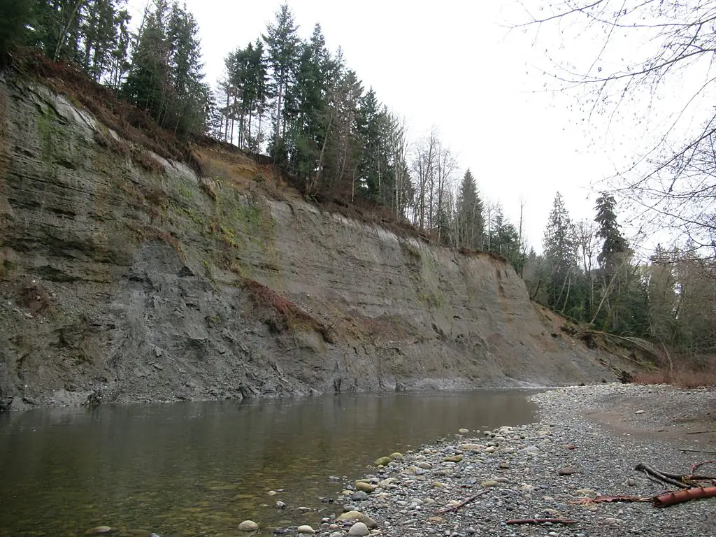 Clay Banks (50719315441)