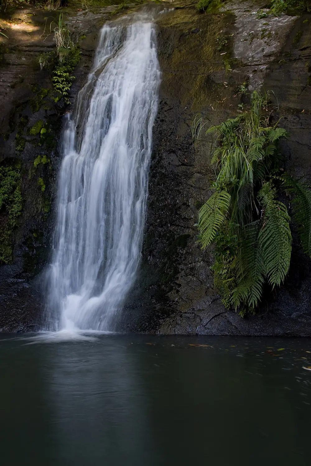 Fairy Falls 2010 04