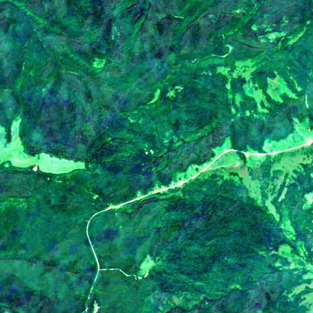 Falls Creek Rufabgo seen from above (Sentinel-2)