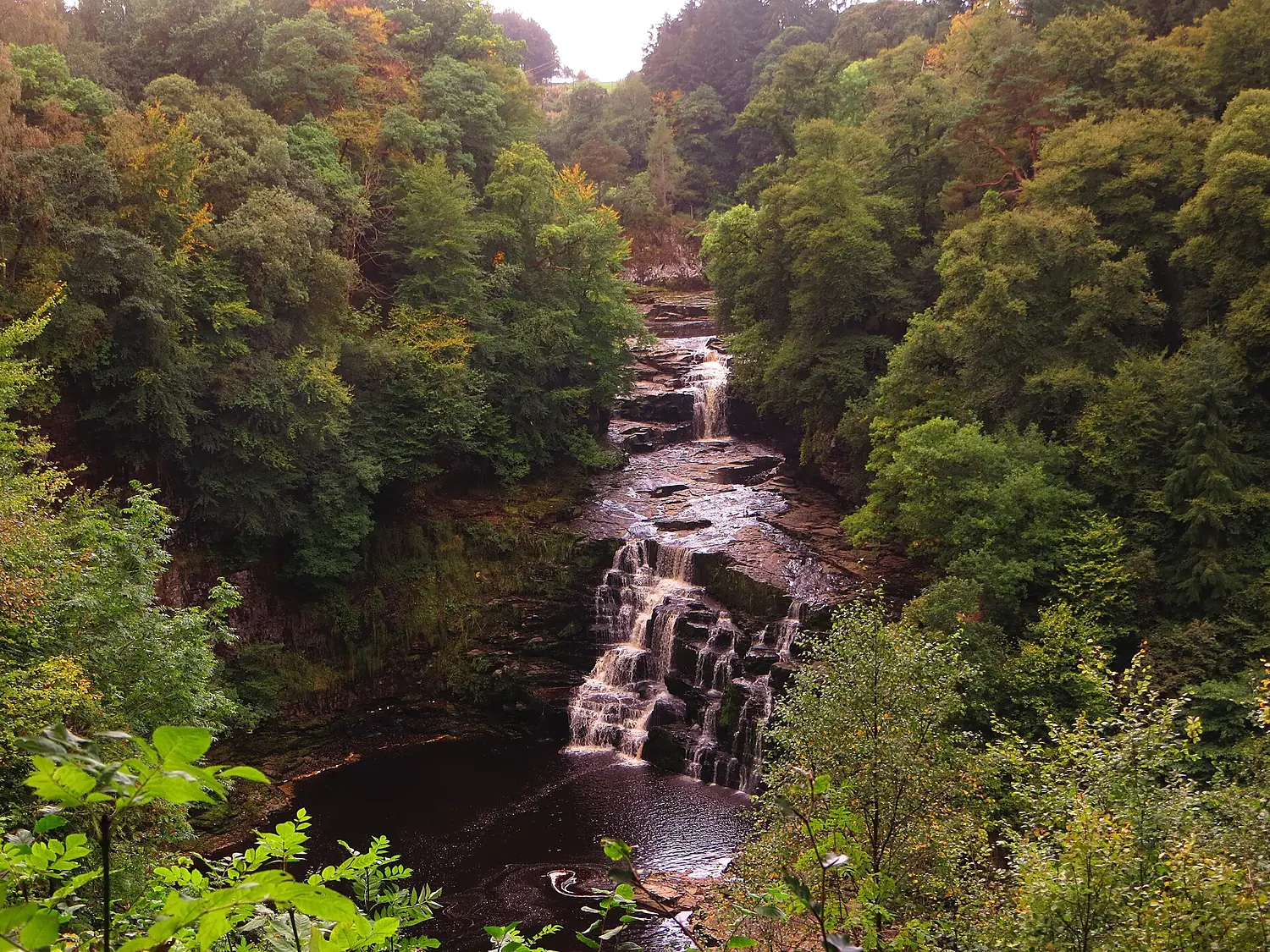 Falls of Clyde (29398087134)