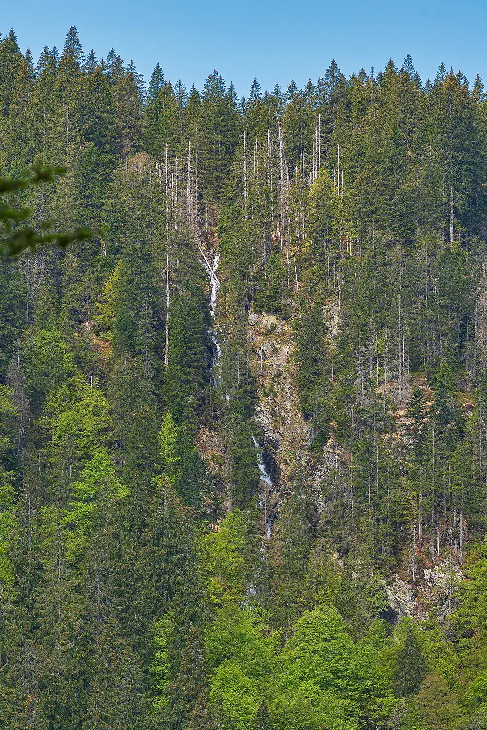 Feldseewasserfall Bild 1