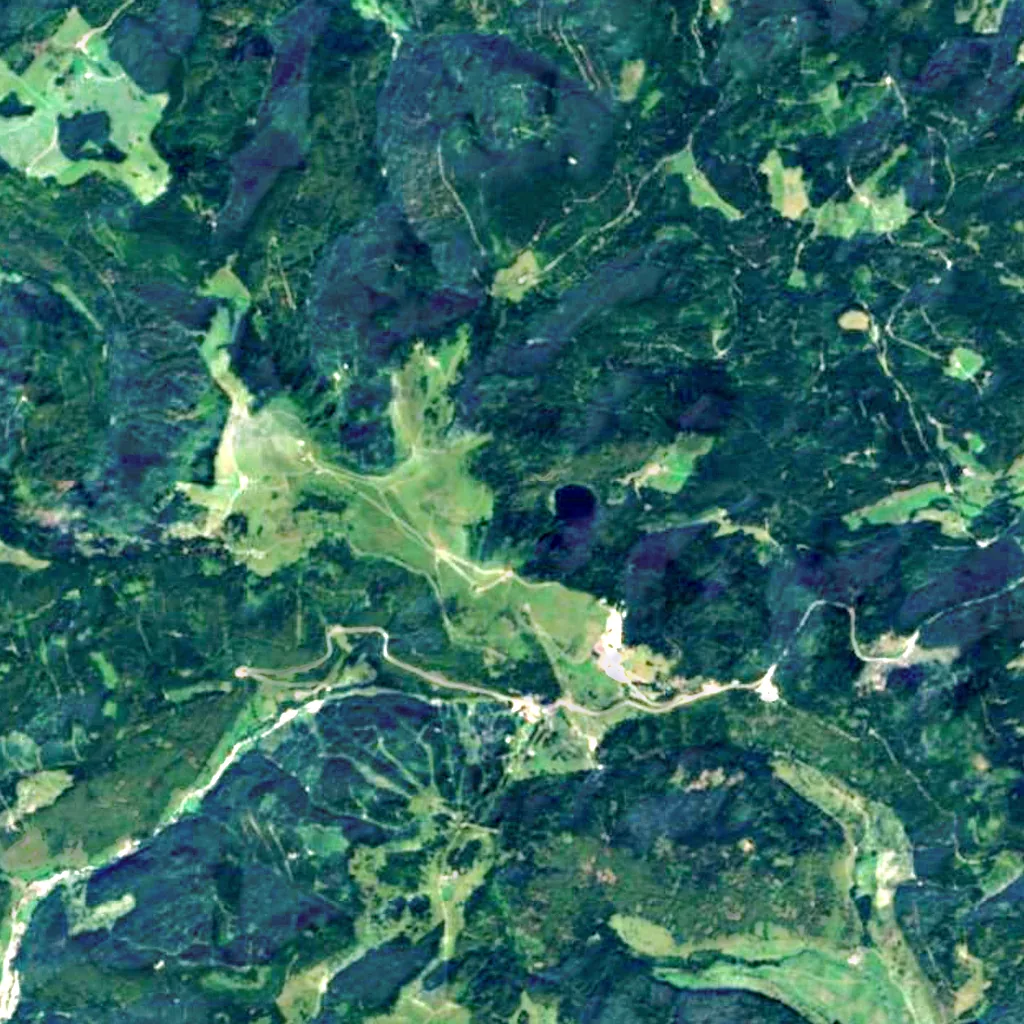 Feldsee-Wasserfall seen from above (Sentinel-2)