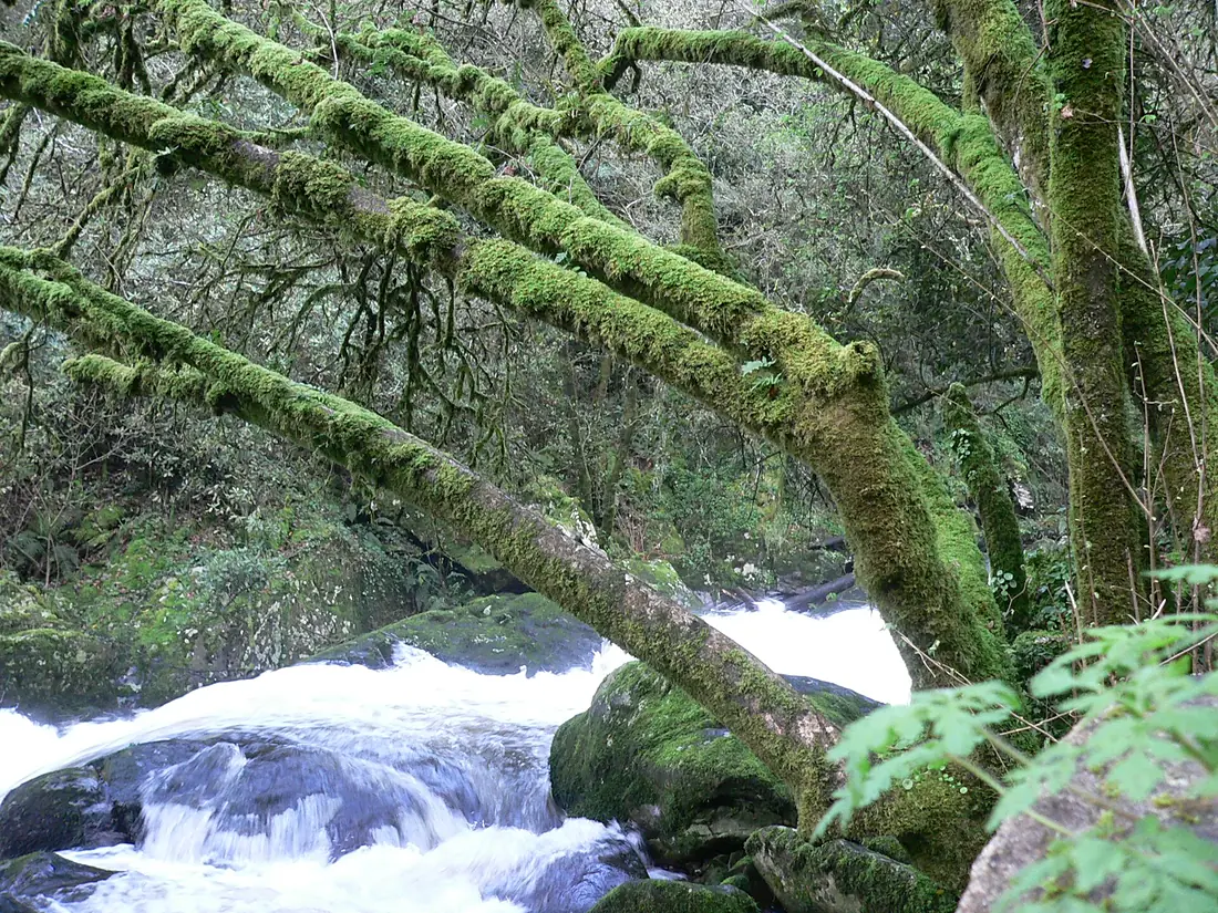 Cascadas no Toxa - panoramio