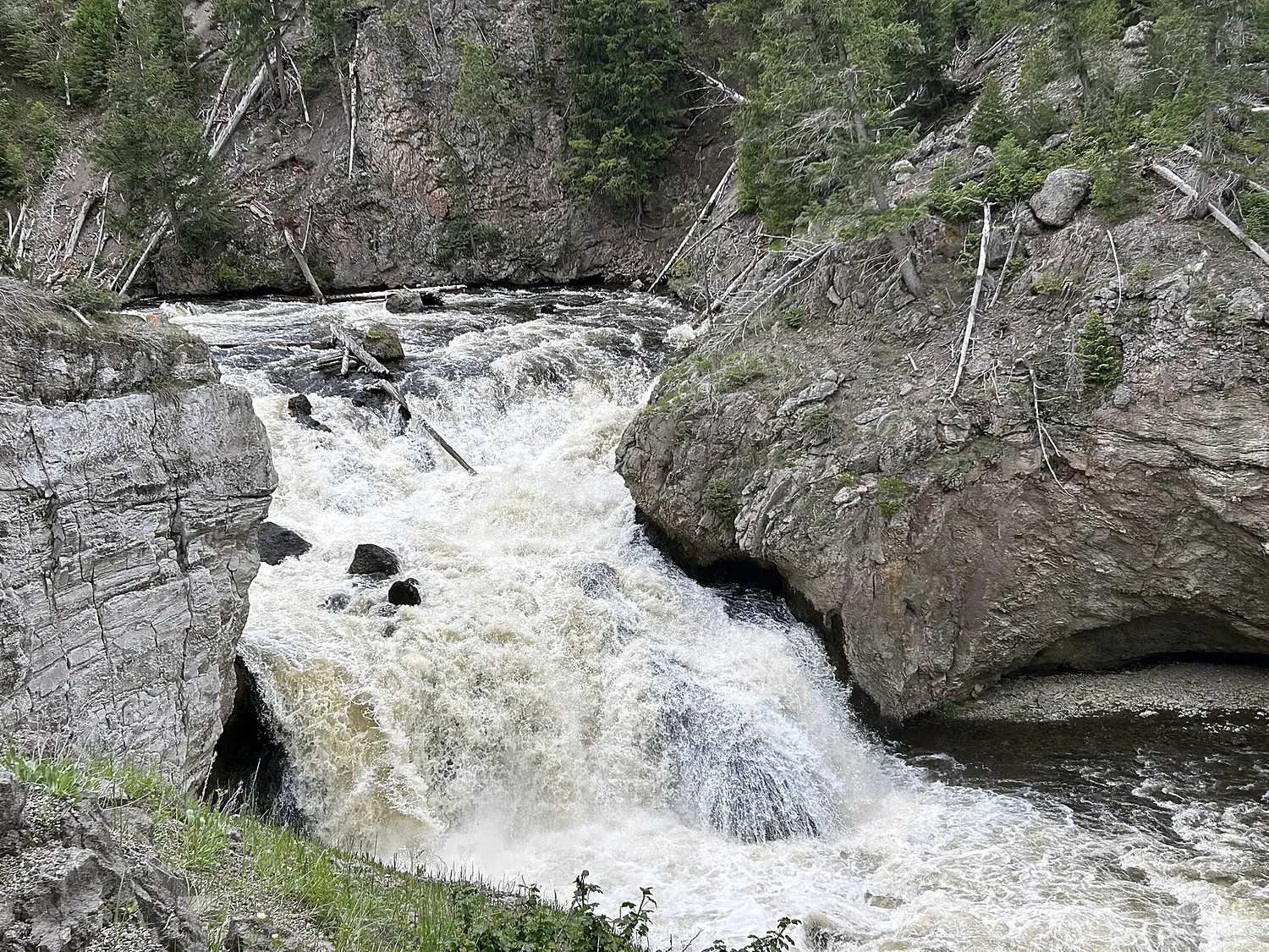 Firehole Falls (13 June 2023) (Firehole River, Yellowstone, Wyoming, USA) 1