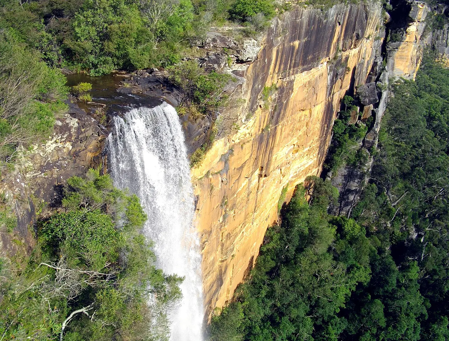 FitzroyFalls