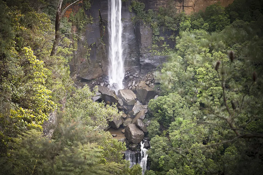 Fitzroy Falls (22549127901)