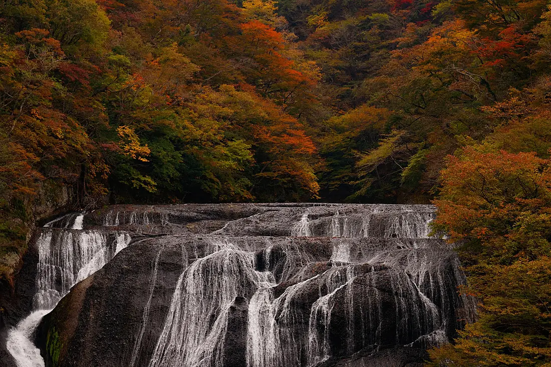 Autumn in Fukuroda falls - 30754884776