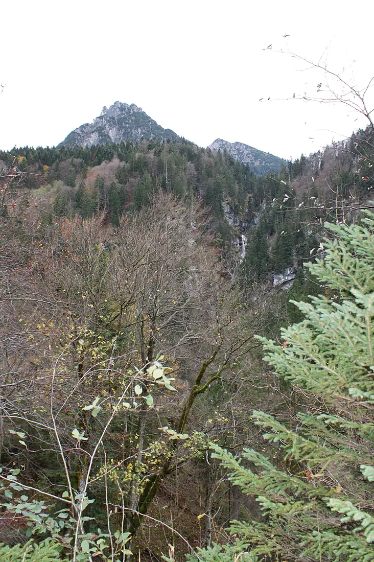 Nenzing-Eckskopf-Gampfall-01ASD