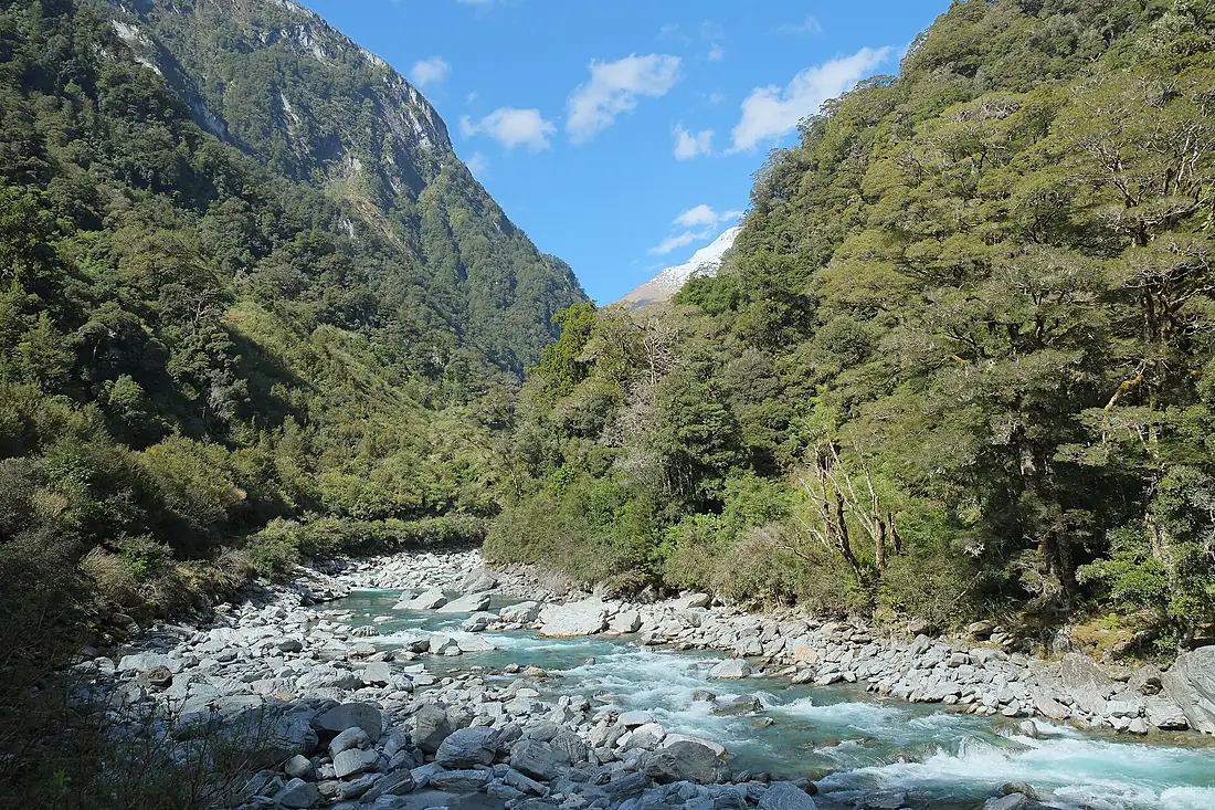 Haast River valley near Thunder Creek Falls