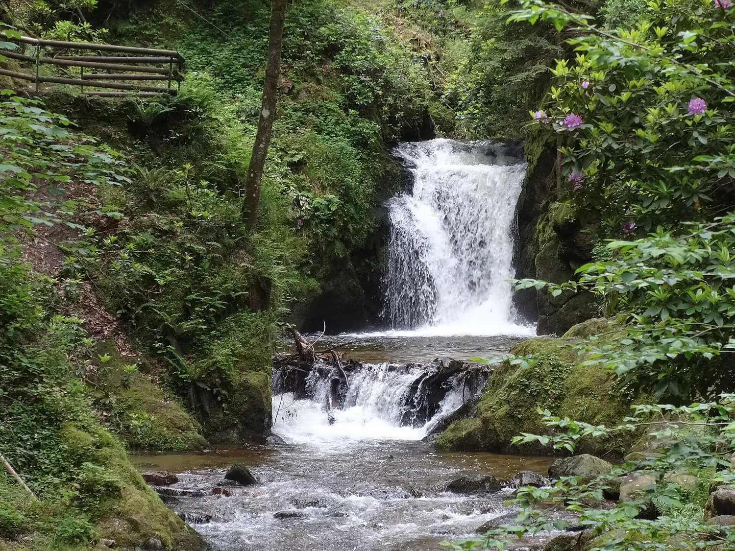 Panoramaweg Fischkultur Malschbach Geroldsauer Wasserfall 02