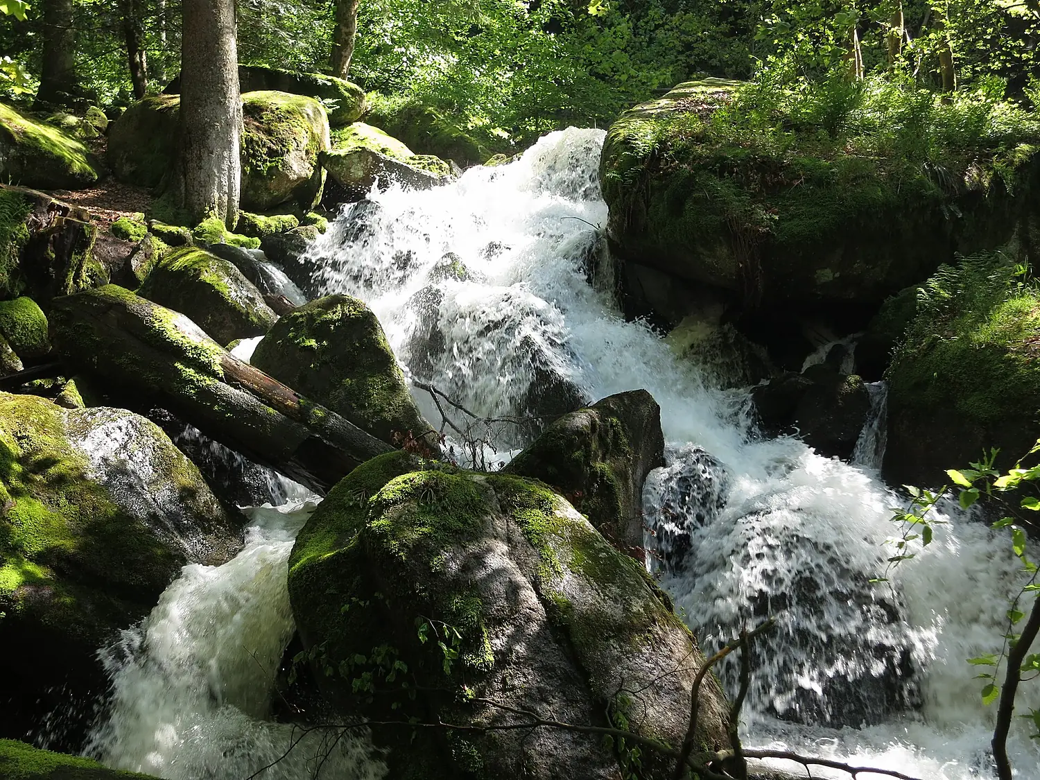 Gertelbach-Wasserfälle (1)