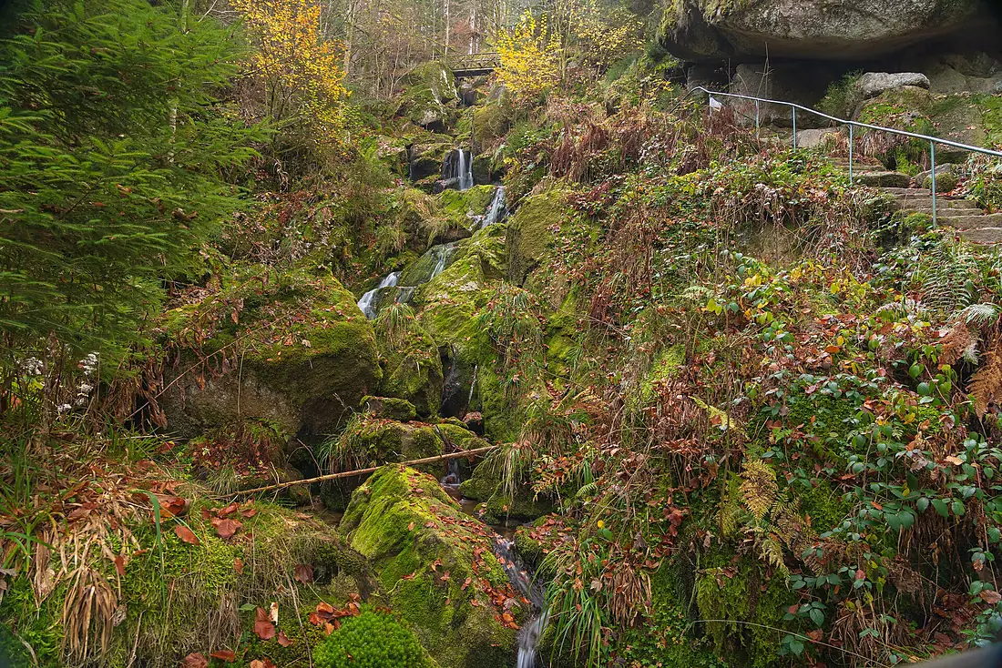 Bühlertal - Gertelbacher Wasserfälle 2018 Bild 2