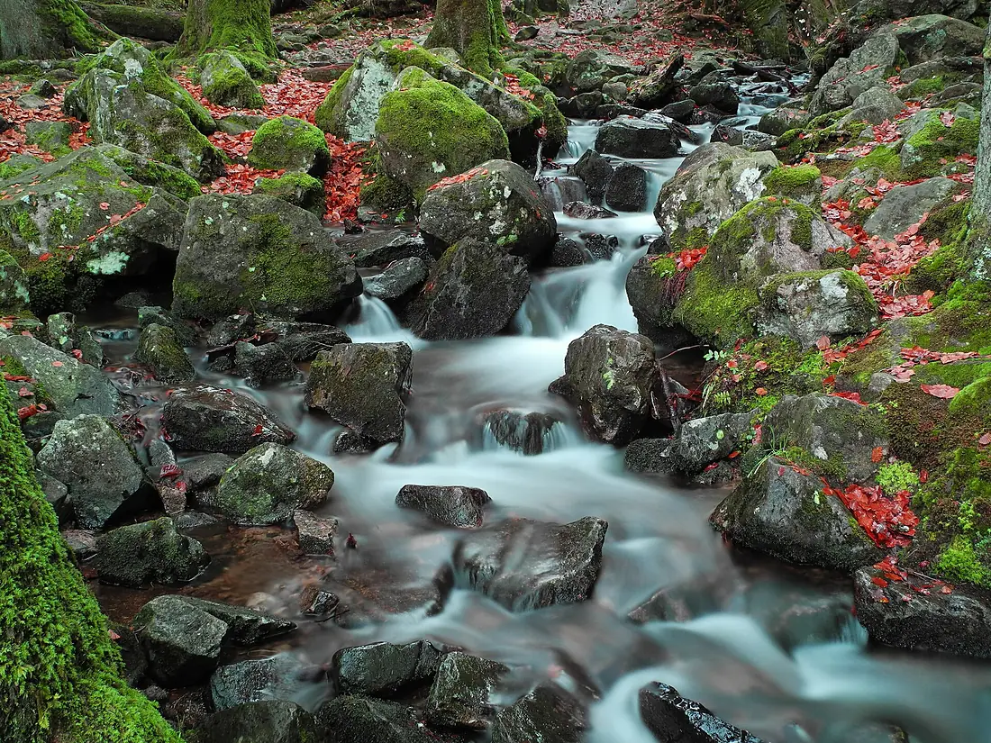 2012-11-23 16-05-52-grande-cascade-tendon