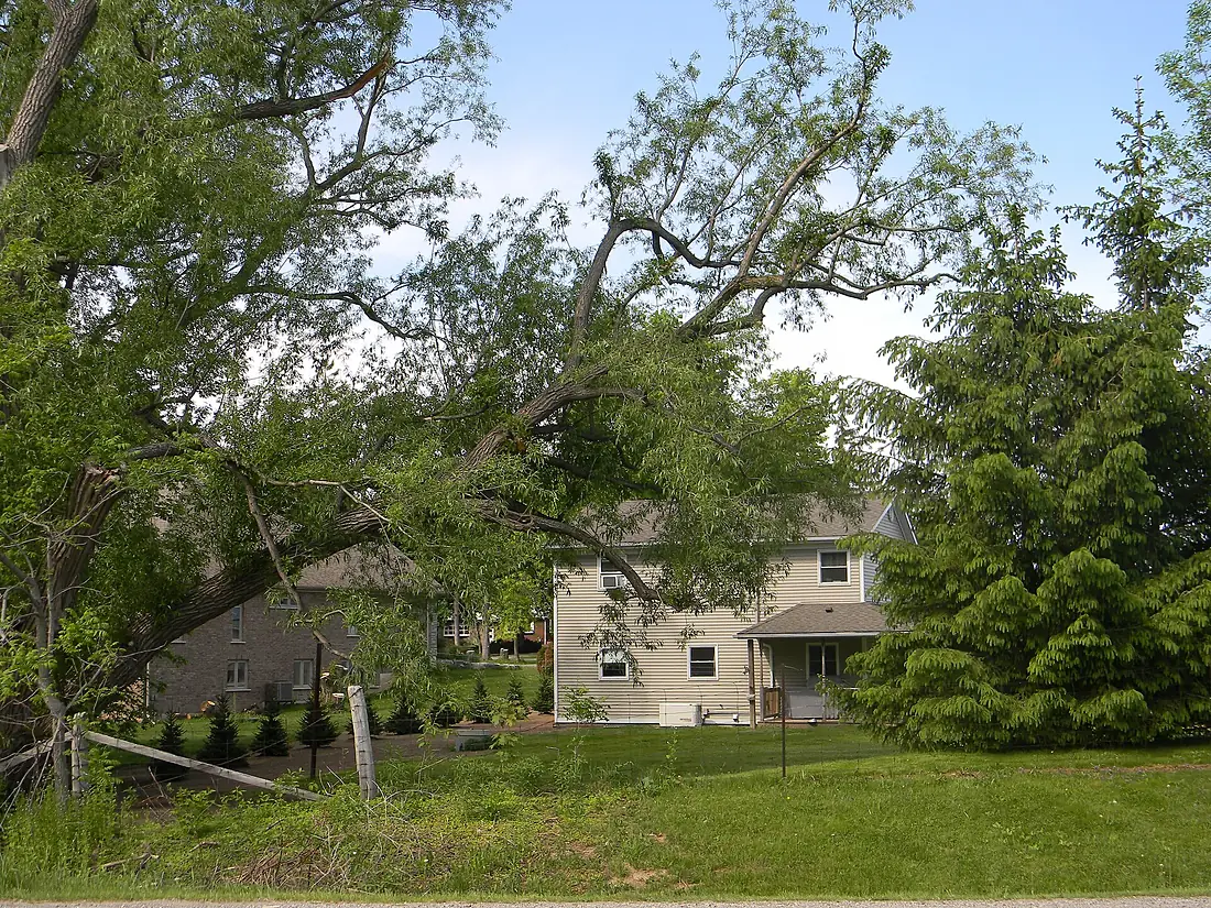 004Greensville