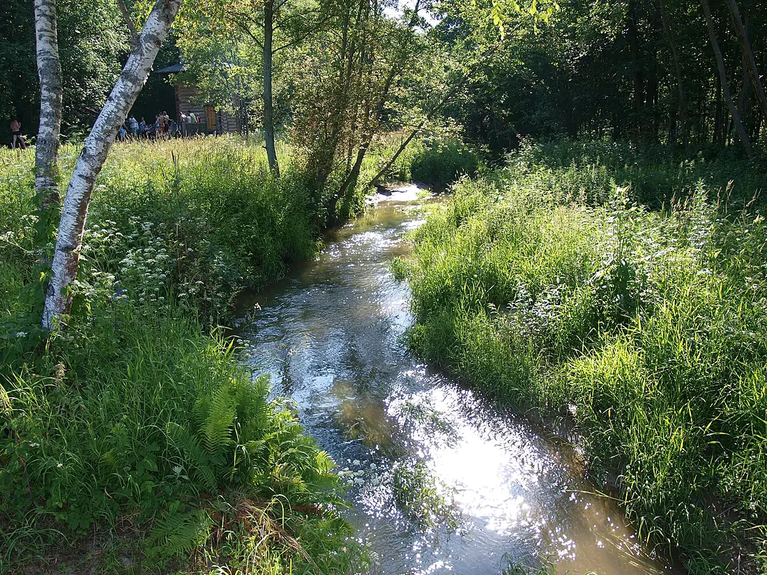 VodingaRiver