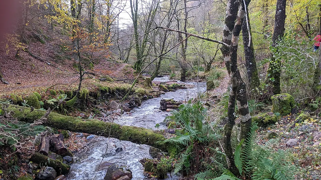 Near grey Mare's Waterfall 2