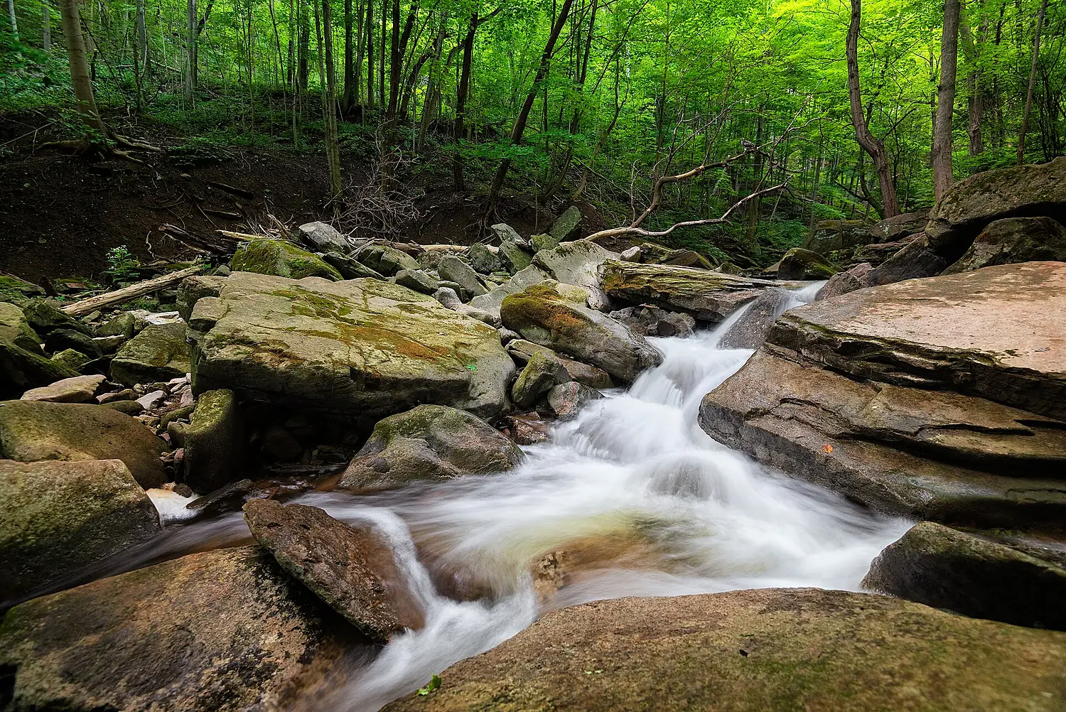 Grindstone Creek (43964735192)