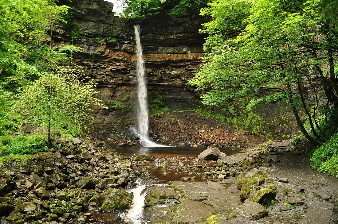 Hardraw Force (6246)