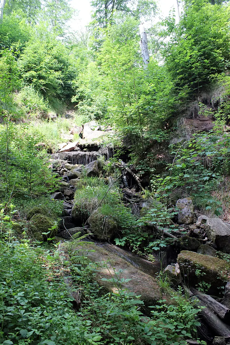 Heslacher Wasserfall 02