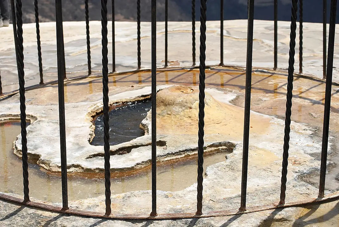 CageSpringHierve1