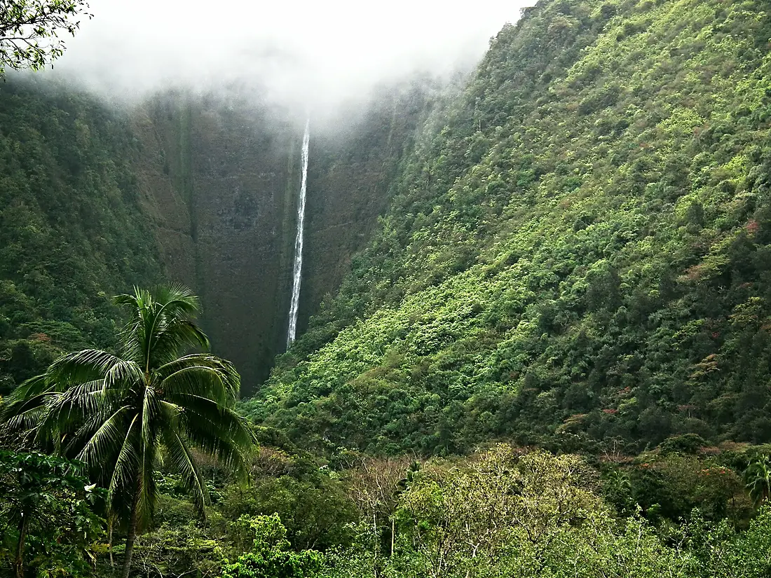 Hawaii Big Island Kona Hilo 196 (7025085535)