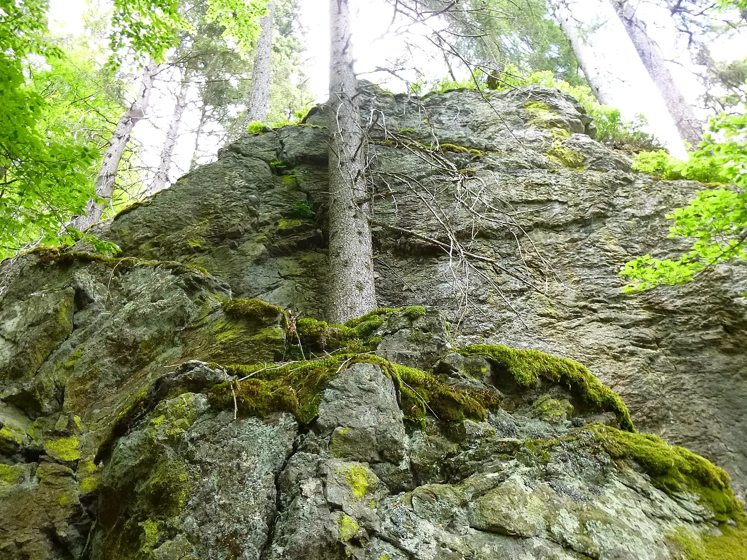 Felswand im Höllbachgspreng