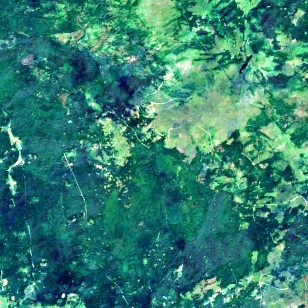 Höllbachgspreng seen from above (Sentinel-2)