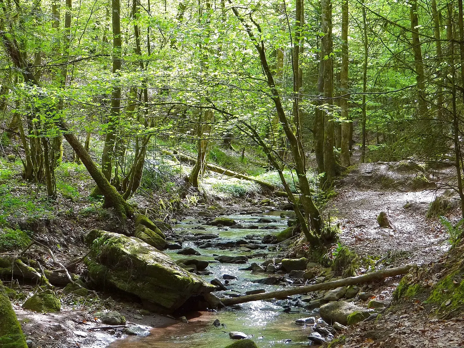 Der Hörschbach