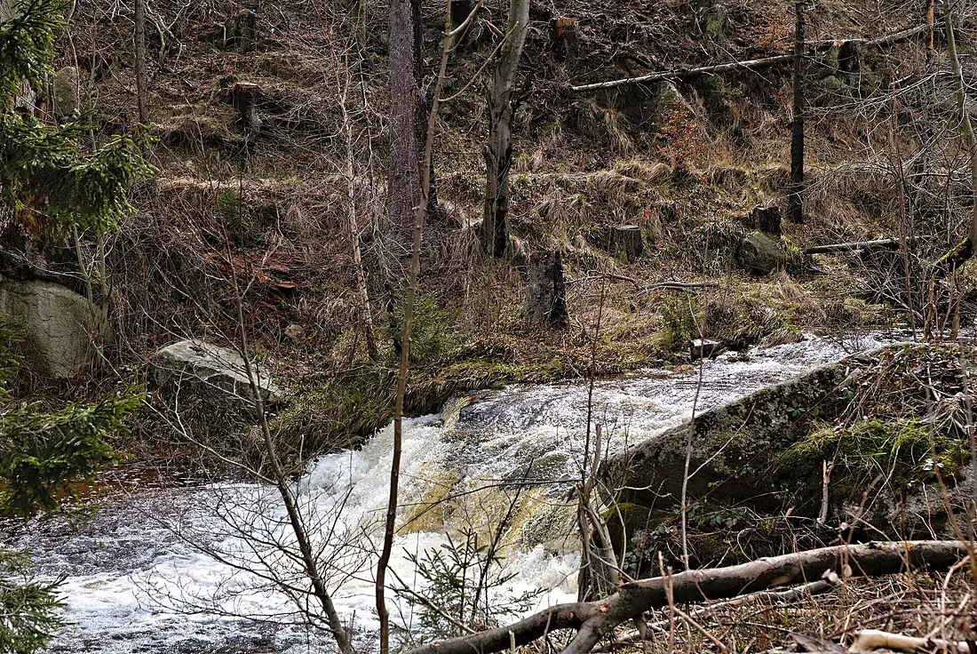Ilsefälle Harz 2022-04-08 02