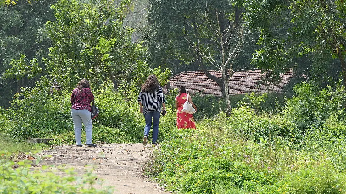 ... at Iruppu Falls (49098451628)