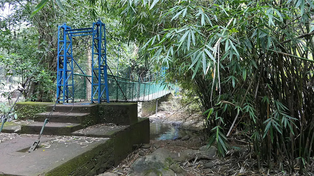... bridge across trail to Iruppu Falls (49099787417)