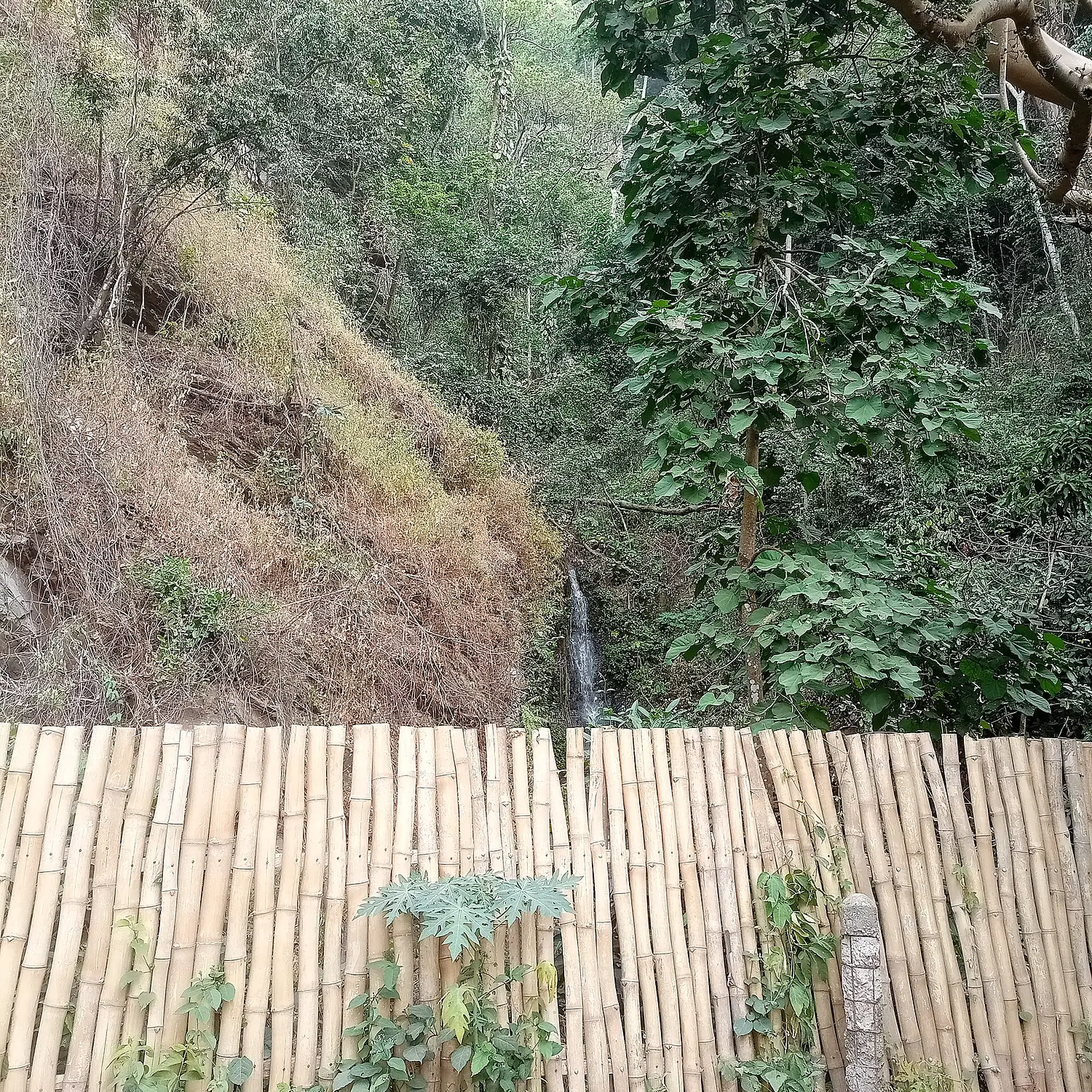 Cascade Kamalo