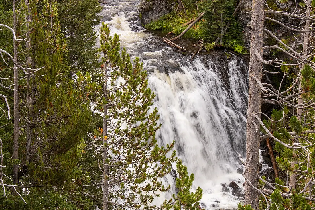 Kepler Cascades (121356)