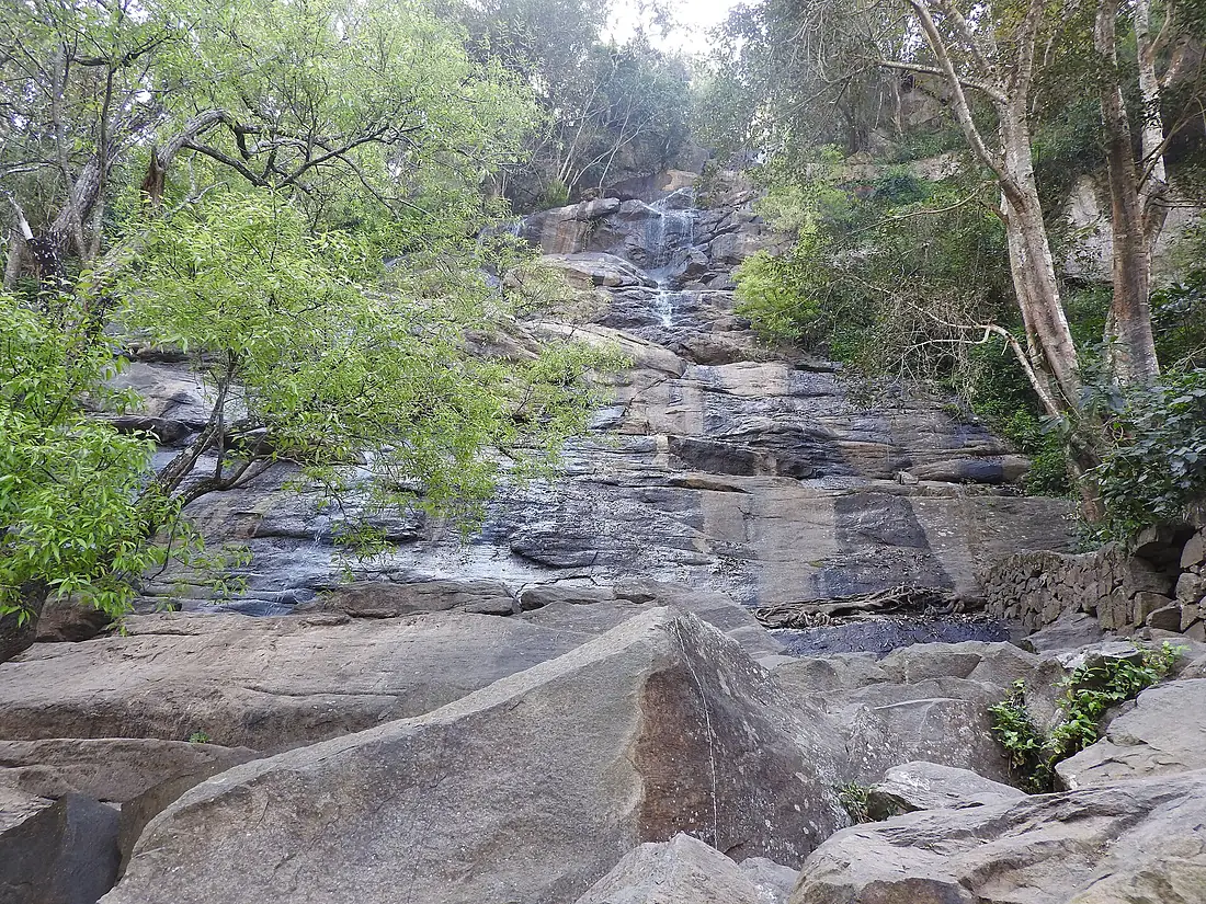 Kiliyur falls-1-kiliyur-yercaud-salem-India